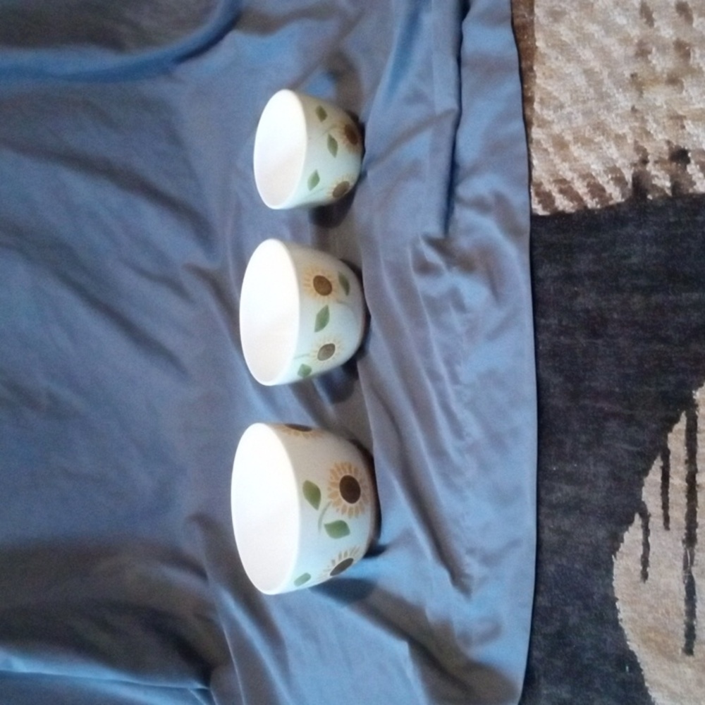 Nantucket home sunflower bowl set